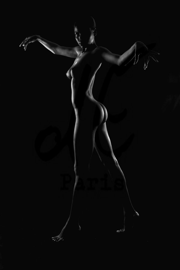 Portfolio Image